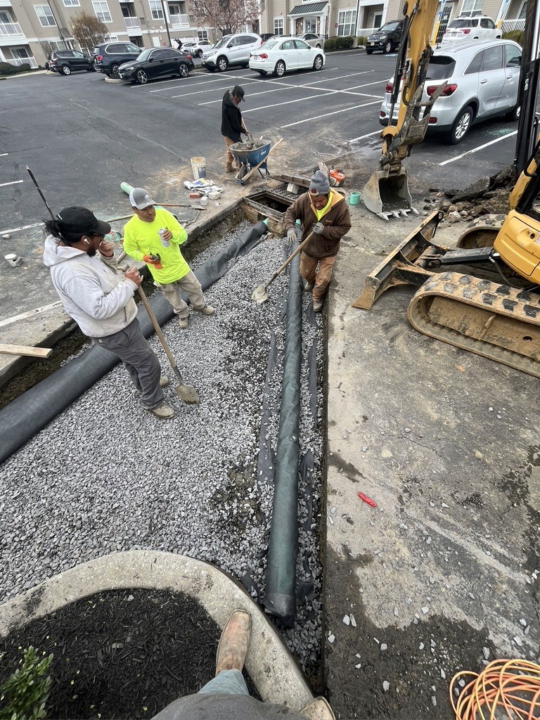 Maple Commons Drainage Repair — image 3
